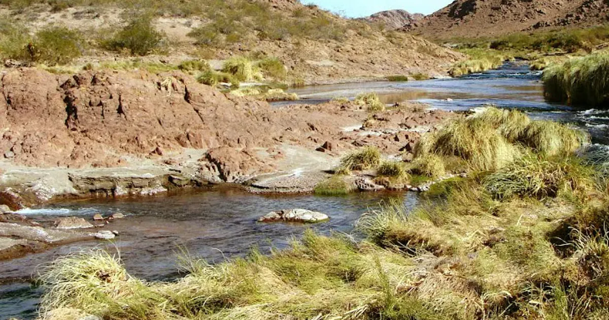 El Hidrógeno Verde, el Combustible del Futuro en Argentina: Se Bañará en «Oro Verde»