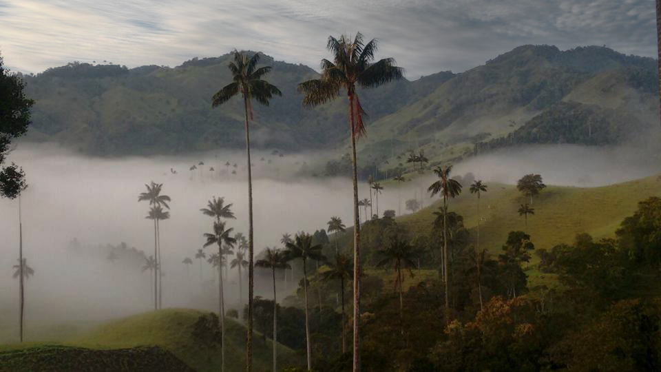 paisaje_cultural_cafetero