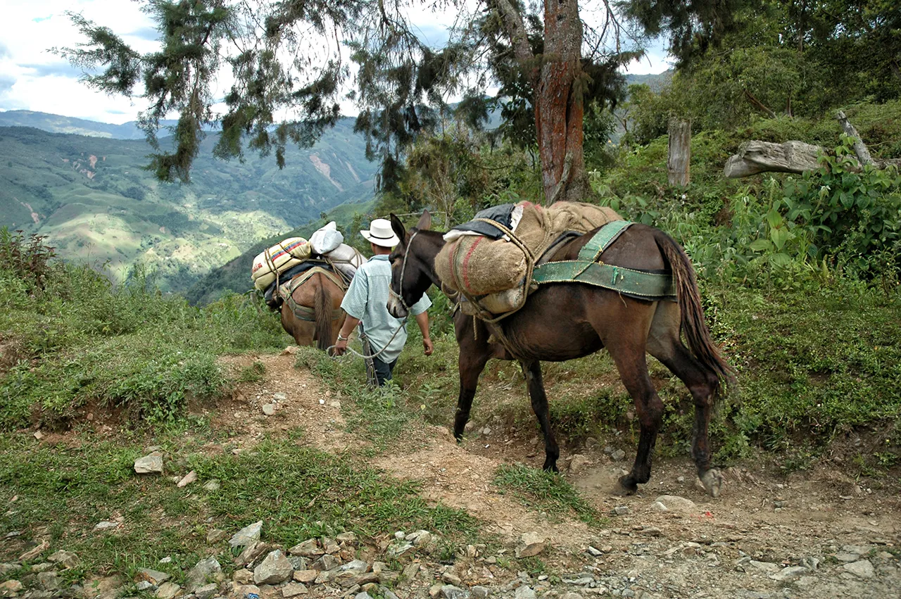 La ruta del Arriero