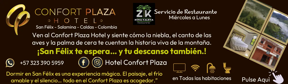 Inicio 20 confort plaza hotel