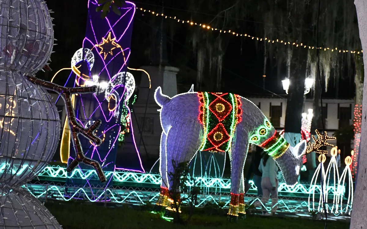 Instalación luminosa con reno, ángel y figuras navideñas en Salamina